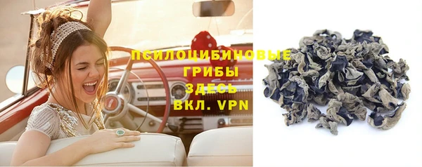 гашик Красноперекопск