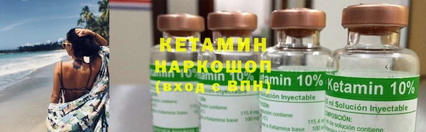сатива Коряжма
