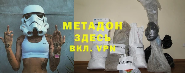 сатива Коряжма