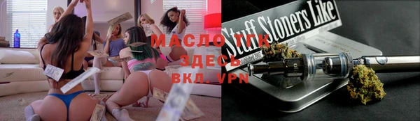 сатива Коряжма