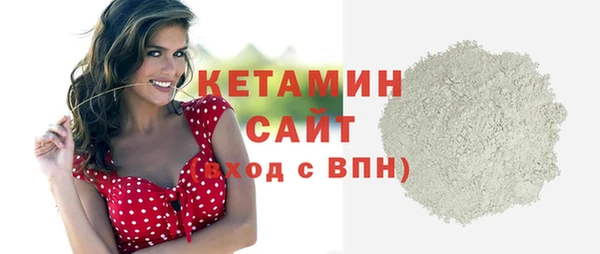 сатива Коряжма