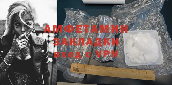 сатива Коряжма
