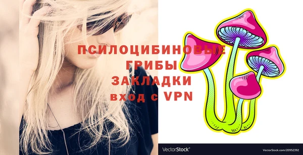 молекула духа Костерёво
