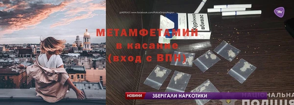 прущие грибы Краснослободск