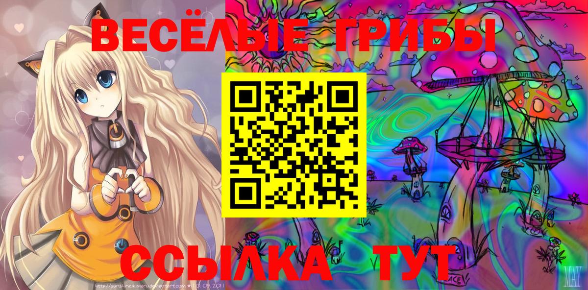 Псилоцибиновые грибы GOLDEN TEACHER Кубинка